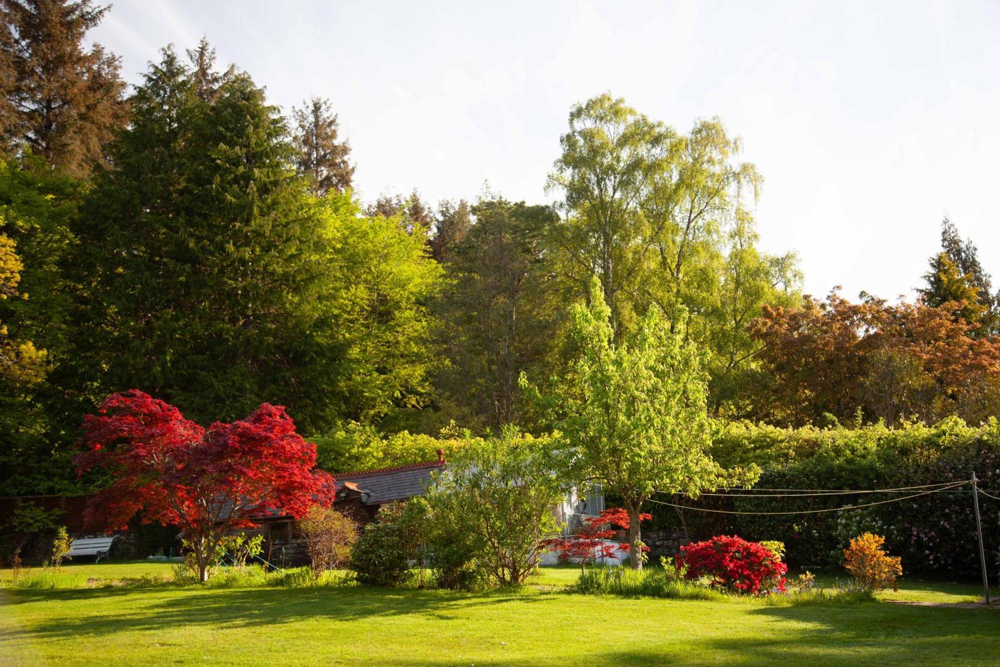 Drumfin Cottage Elgin Dış mekan fotoğraf